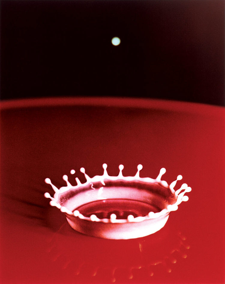 Milk Drop Coronet 