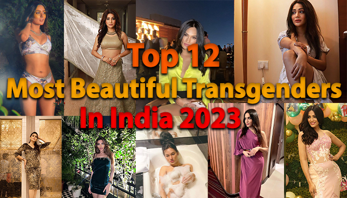 most beautiful transgender in india