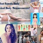 Perfect Body Shape For Female