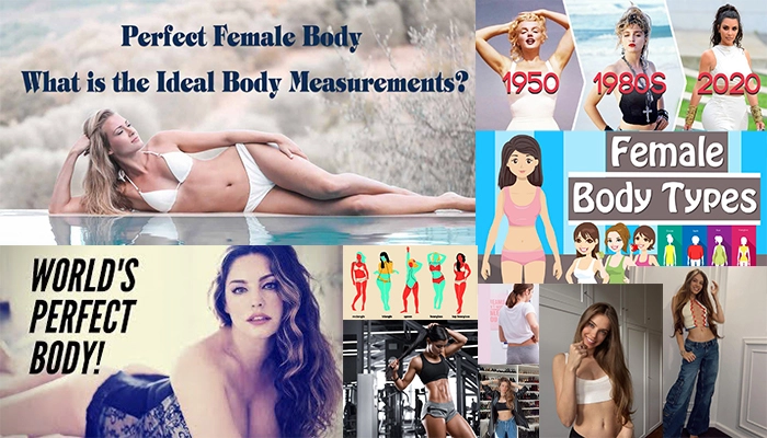 Perfect Body Shape For Female