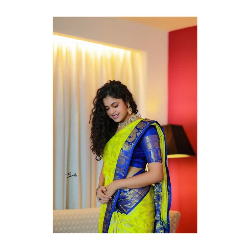 Faria Abdullah in Saree