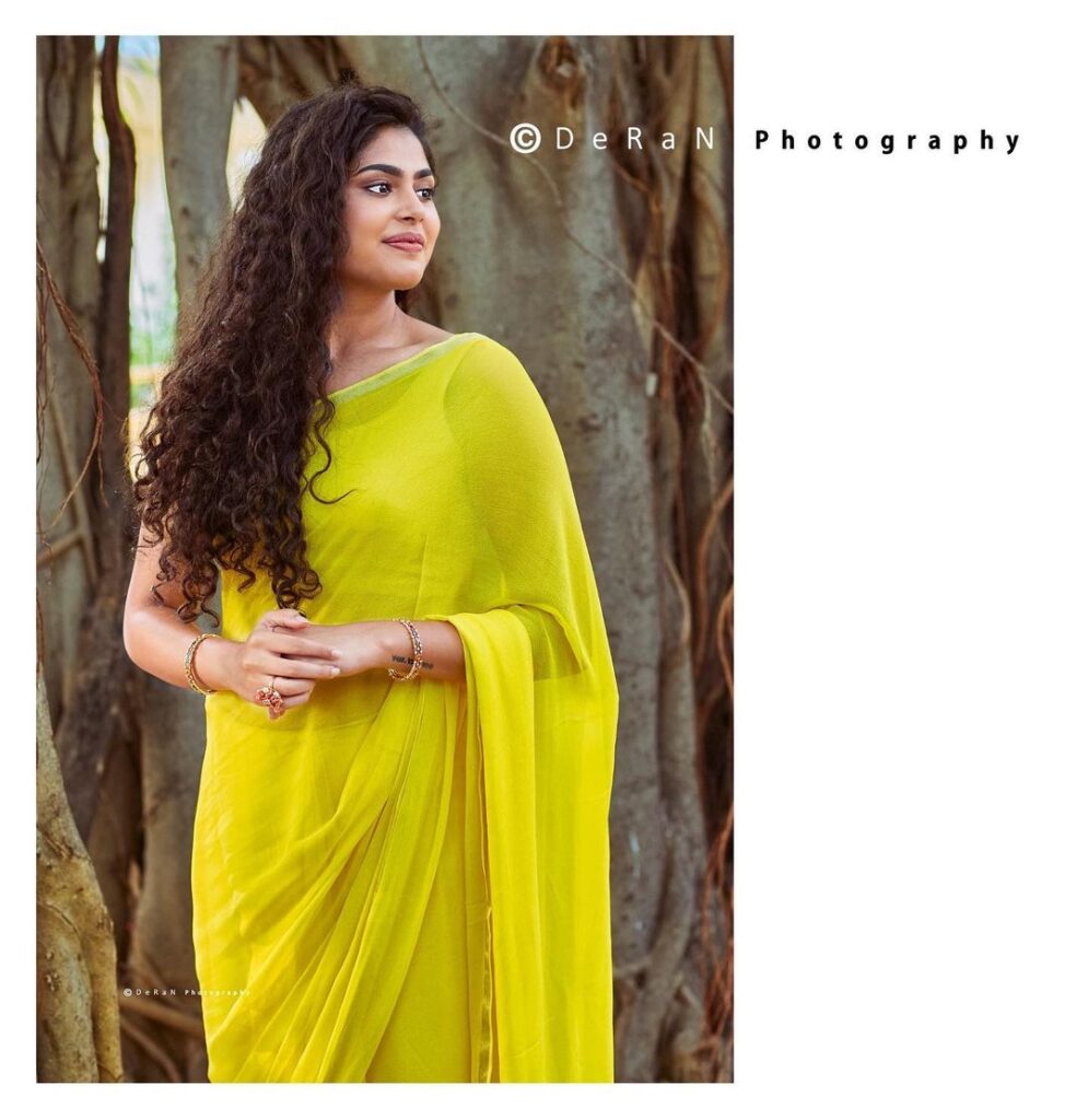 Faria Abdullah in Saree