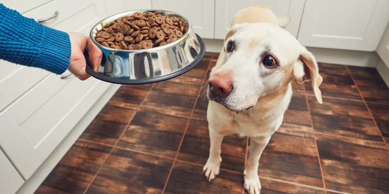 Best Dog Food For Pitbulls