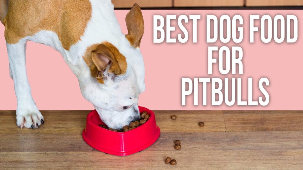What Is The Best Dog Food For Pitbulls