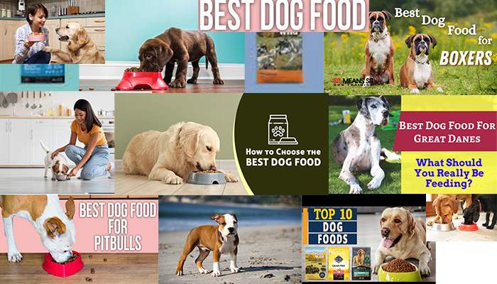 What Is The Best Dog Food For Pitbulls