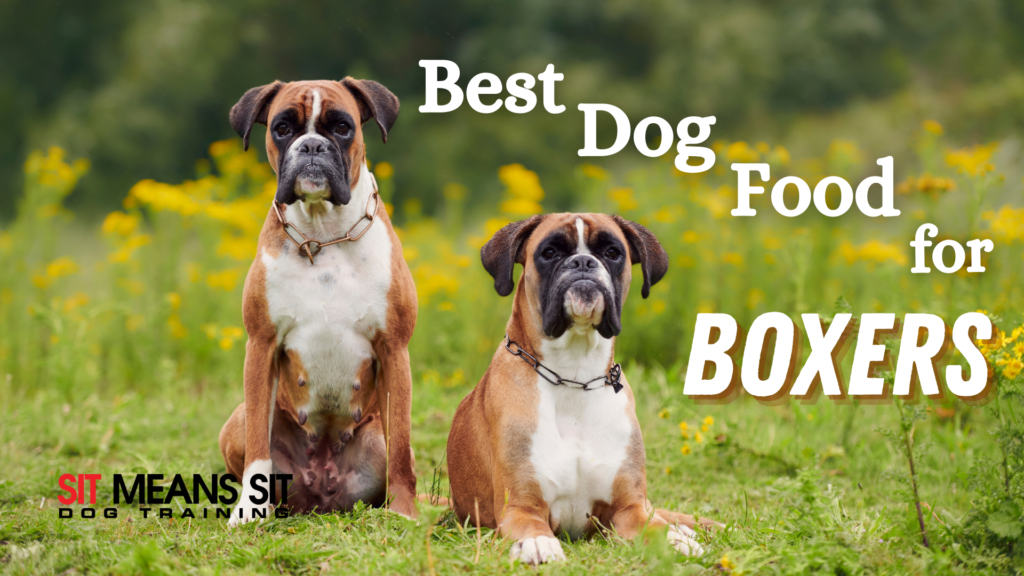 What Is The Best Dog Food For Boxers