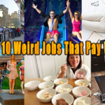 top 10 weird jobs that pay well