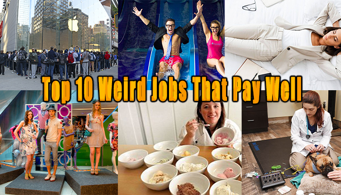 top 10 weird jobs that pay well
