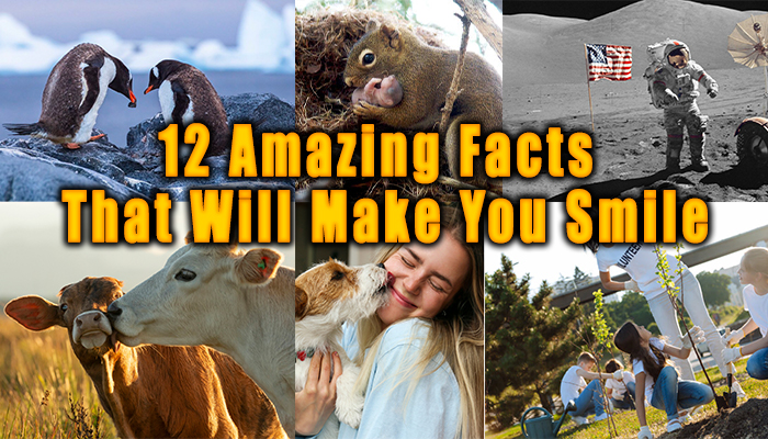 facts that will make you smile